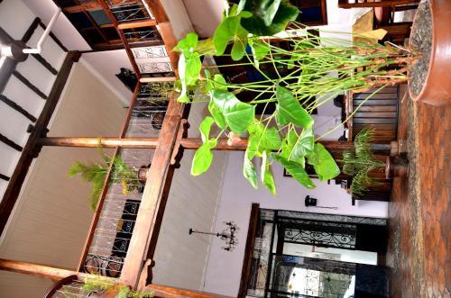 Hotel Casa Ordo�ez