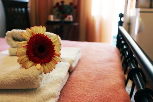 Hotel Filyra