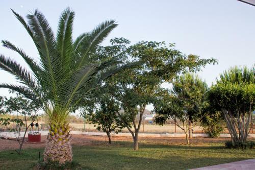 Hotel Ktima Anastasia Apartments