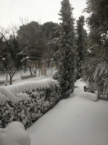 Sottoalfico B&B