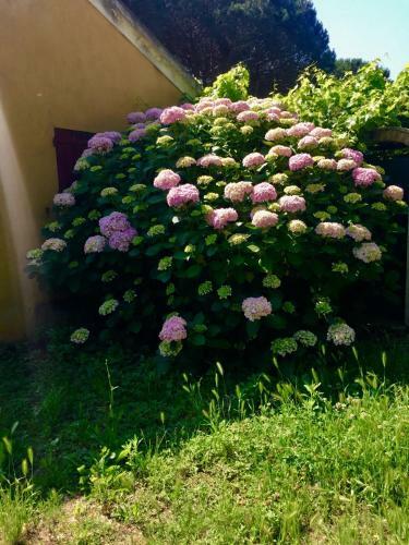 Sottoalfico B&B