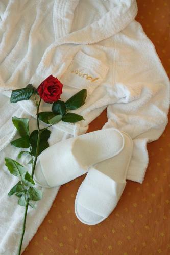 Ascot Apartment Fronte Mare & Spa