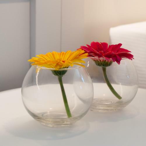 Aparthotel Residence Ten Suite
