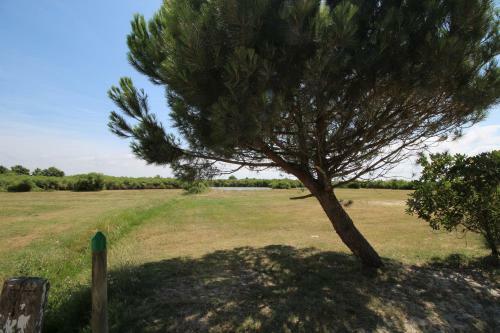 Petite Maison Avec Annexe Ind�pendante