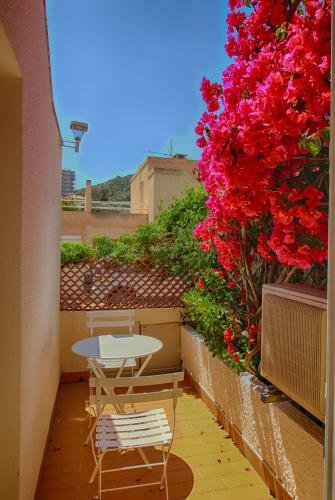 Apartamento Studio Rue Wagram