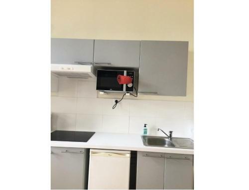 Apartamento Studio 4 Pers. Vue Sur Le Lac 68751