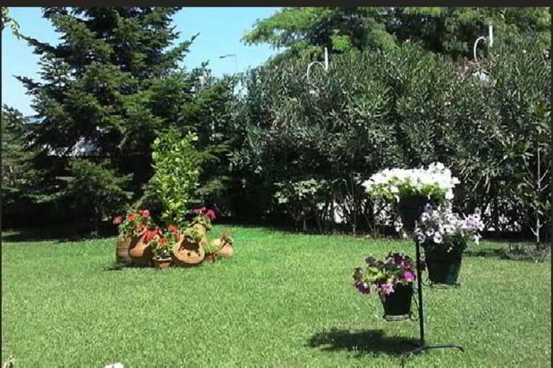 Hotel Rodopi