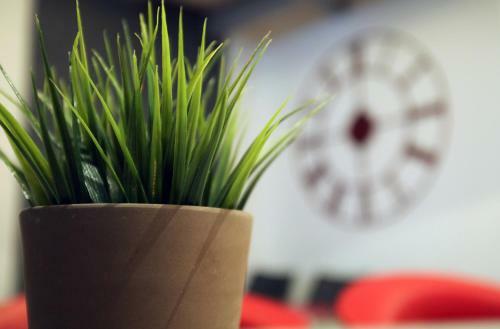 Apartamentos Le Sainte Claire