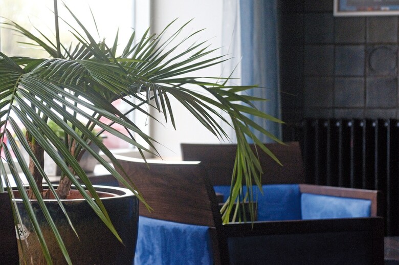 Hotel Ter Streep