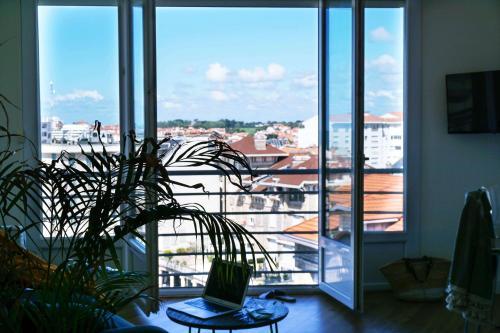 Apartamento City View