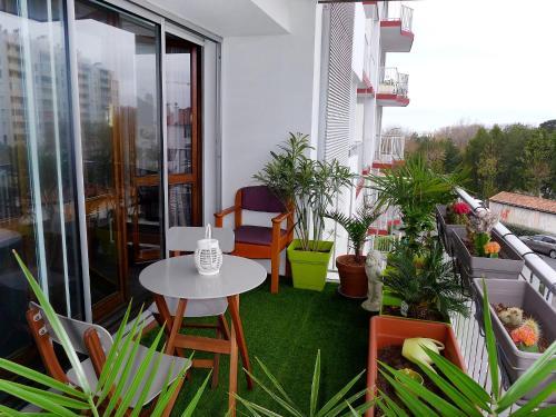 Apartment Clos St Martin.5