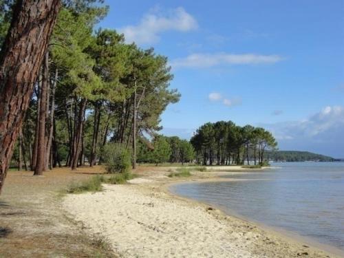 Apartment Biscarrosse Plage - 4 Personnes 2