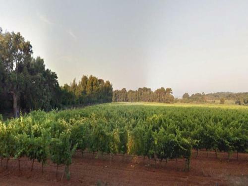 Apartment Bormes Les Mimosas - 4 Pers, 48 M2, 3/2
