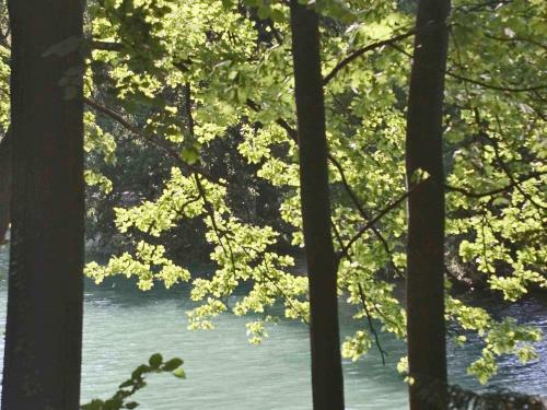 Hotel H�tel Mercure Lyon Centre Charpennes