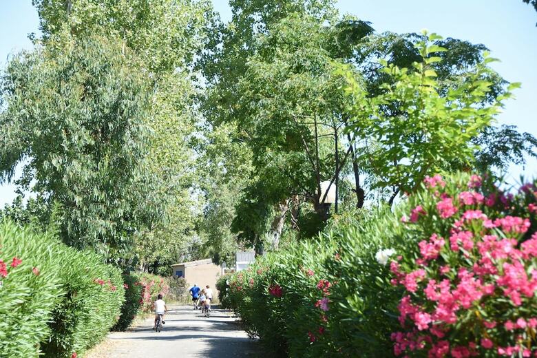 Camping & Spa Cap Soleil