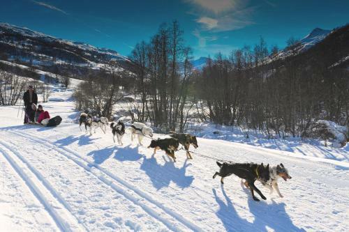 Apartamento R�sidence L'eskival - Val Thorens