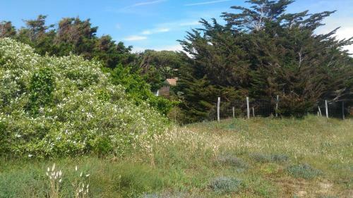Maisonnette Derri�re La Dune