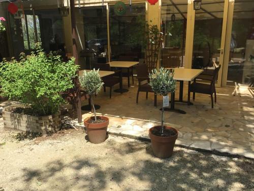 Hostal Les Palettes