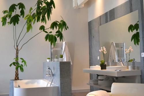 Saint-jean-de-luz Villa Sleeps 12 Pool Air Con Wifi