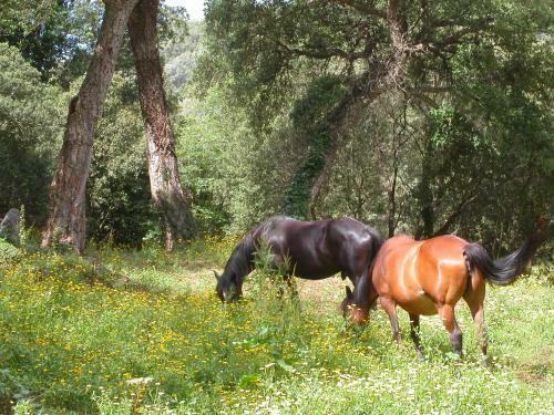 Bed & Breakfast Maison D'h�tes De Charme De Croccano