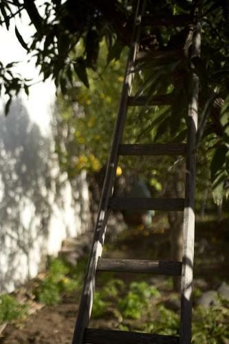 Bed & Breakfast Hotel I Cinque Balconi