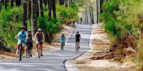 Holiday Home Route De Contis - 3