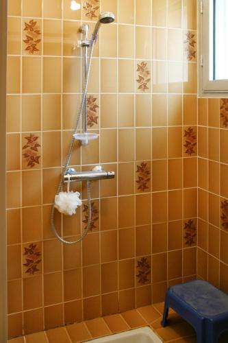 Ferienhaus Saint Germain-sur-ay 402s