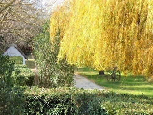 Apartment G�te 130m2 L'espace D'un �t� En Camargue