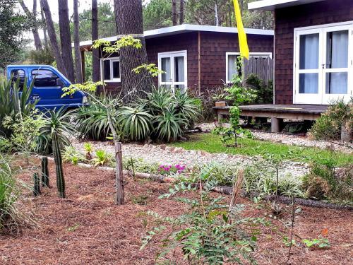 Pinocha Point Bungalows