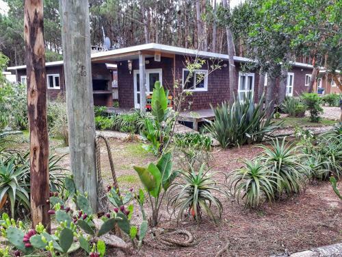 Pinocha Point Bungalows