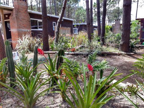Pinocha Point Bungalows