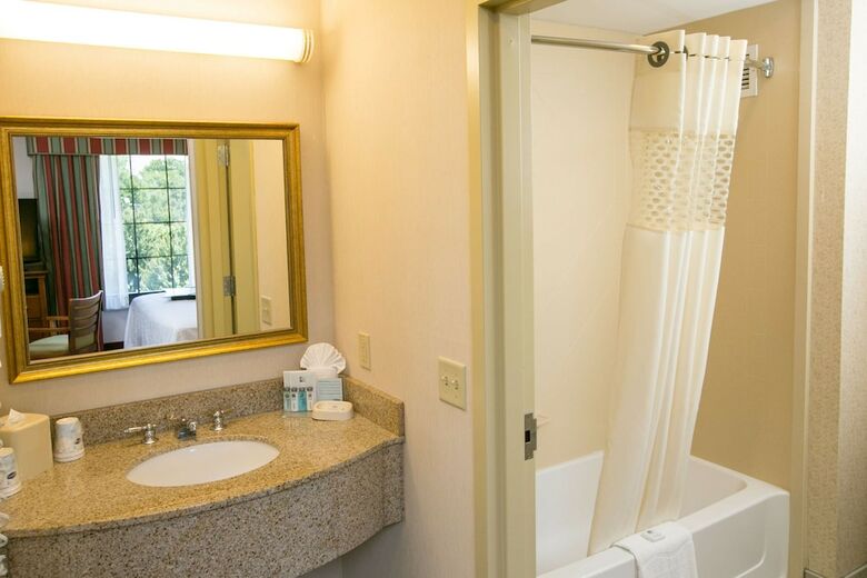 Hotel Hampton Inn Hadley-amherst Area