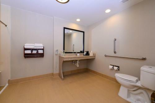 Hotel Hampton Inn Chicago-carol Stream