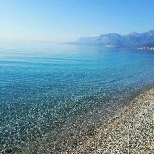 Hotel Tun� Apart
