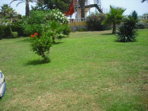Apartamento Royal Sitesi Avsallar