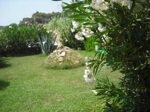 Apartamento Royal Sitesi Avsallar