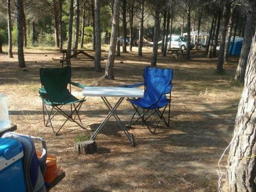 Apartamento King Korkmaz Deluxe