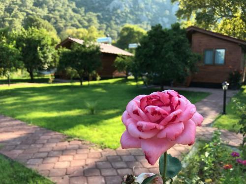 Bed & Breakfast Asya Bungalow