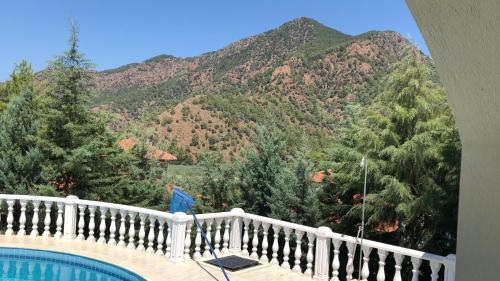 Villa Elysium