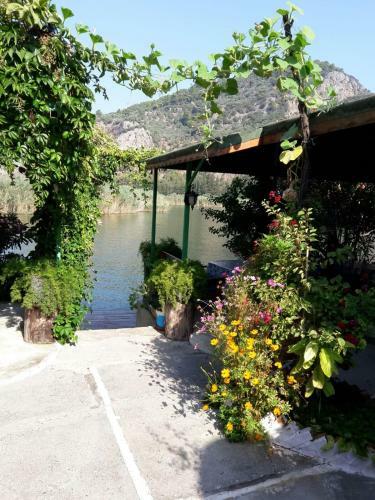 Hostal Zakkum Pansiyon