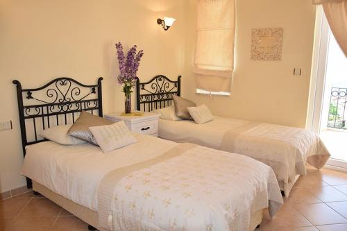 Apartamento Pinara 40