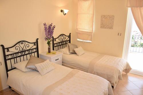 Apartamento Pinara 40