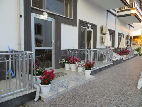 Stella City Apartments