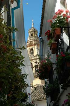 Hotel Balc�n De Cordoba