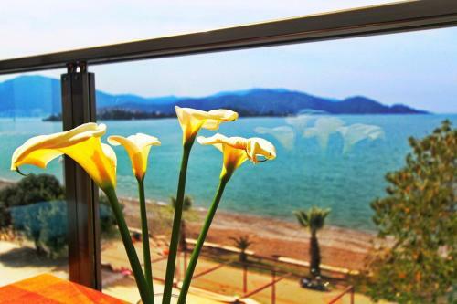Apartamento George's Boutique Hotel