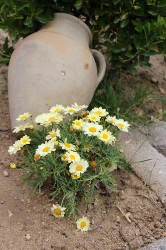 Bed & Breakfast Days Inn Cappadocia