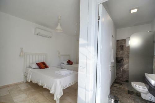 Villa Liva