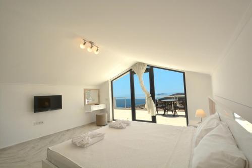 Villa Roza 3