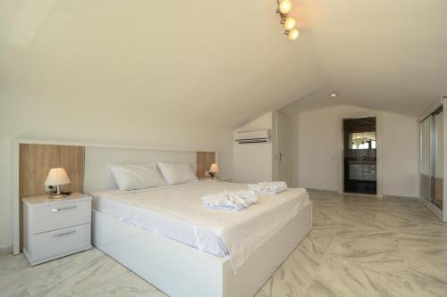 Villa Roza 3