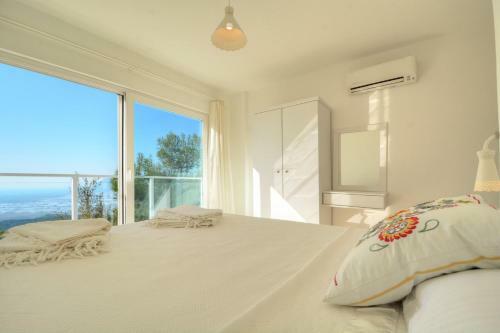 Villa Alya